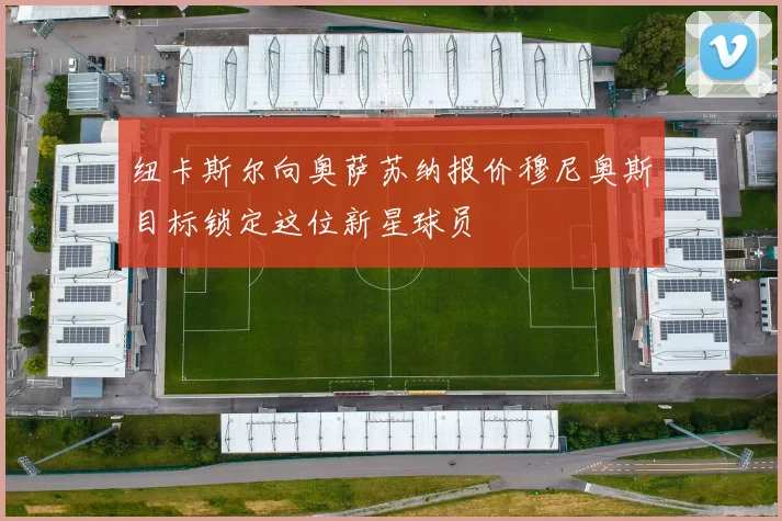 纽卡斯尔向奥萨苏纳报价穆尼奥斯目标锁定这位新星球员